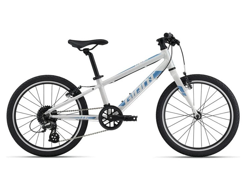 Giant ARX 20 lightweight kids bike.