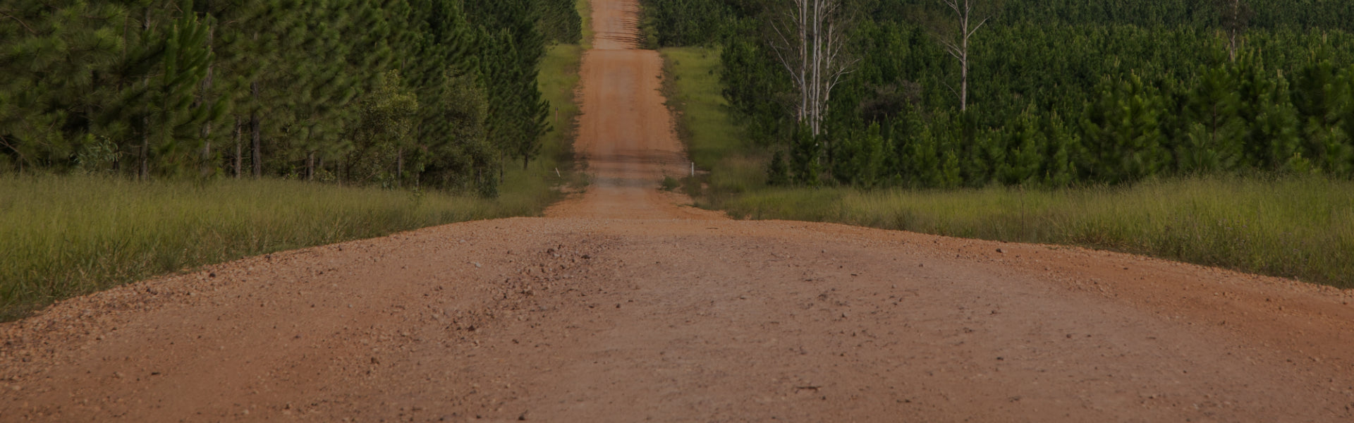 Gravel & Touring