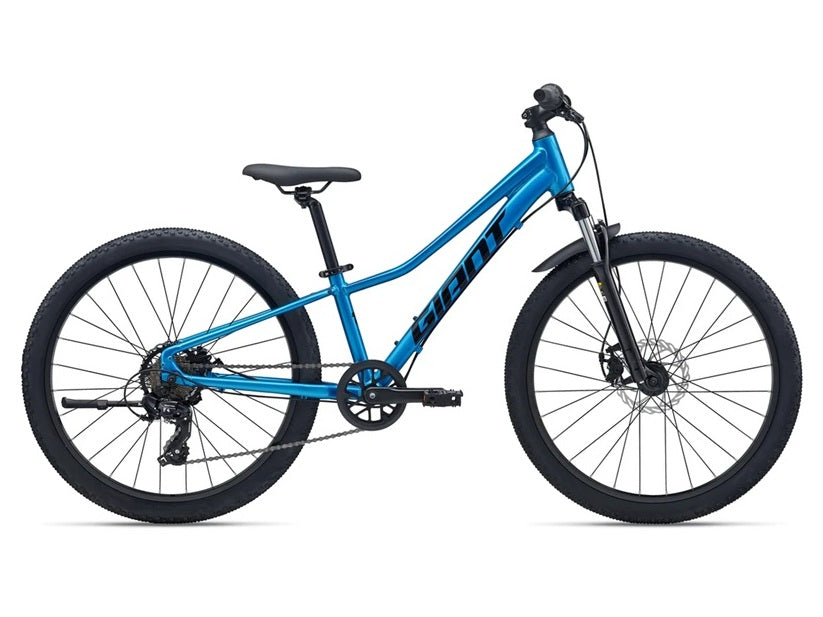2026 Giant Talon 24 Disc